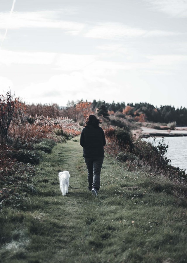 A person walking with their white dog next to the sea